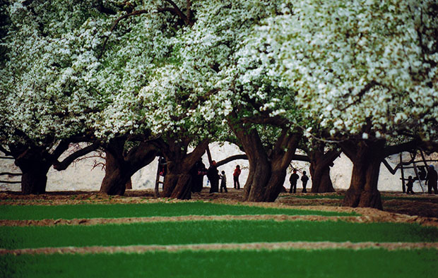 image011.jpg