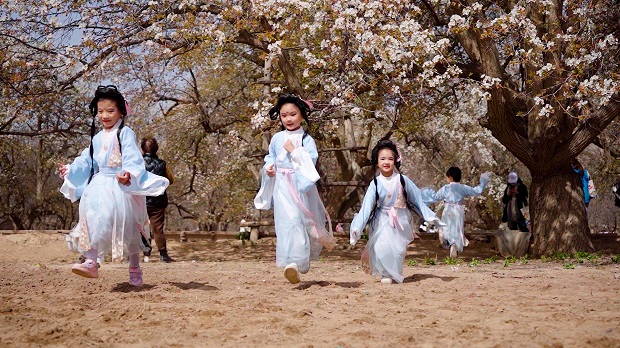 中卫梨花节 (3).jpg 中卫梨花节 (3).jpg