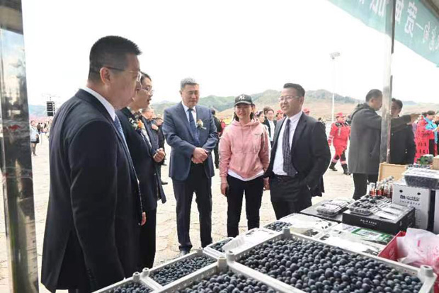 微信图片_20230426191636.jpg 微信图片_20230426191636.jpg