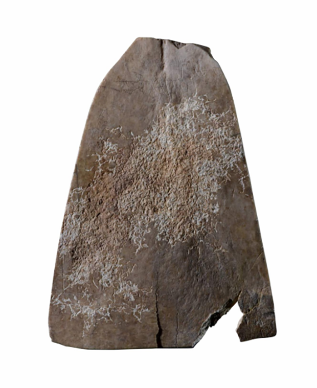 image009.png