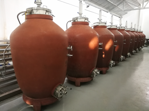 image007 (2).jpg image007 (2).jpg