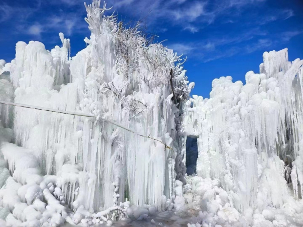 image009 (2).jpg image009 (2).jpg