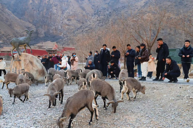 image011 (2).jpg image011 (2).jpg