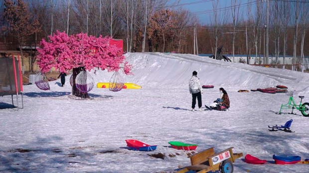 image006 (2).jpg image006 (2).jpg