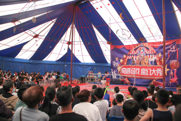 image009.jpg image009.jpg