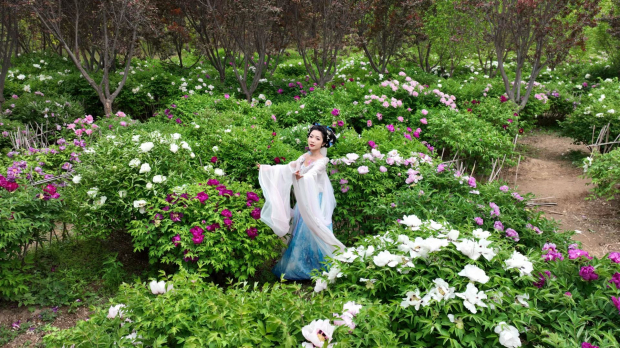 image029 (2).jpg image029 (2).jpg