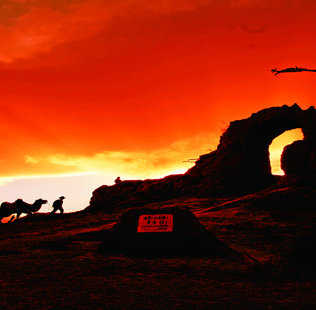 image005.jpg image005.jpg