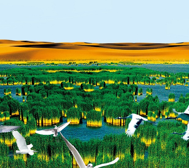 image007.jpg image007.jpg