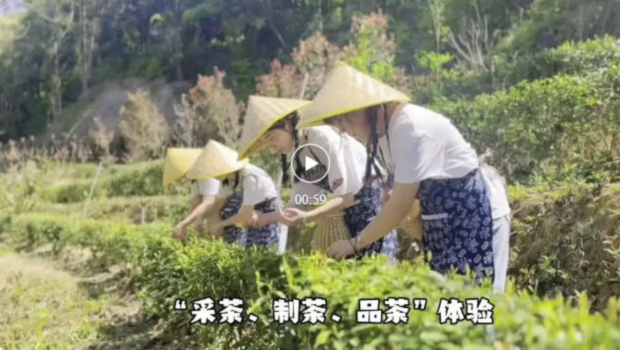 wechat_2025-12-04_154702_890 (2).jpg