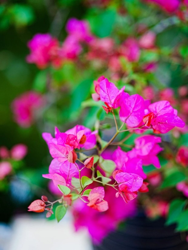 微信图片_2026-02-13_144714_236 (2).jpg